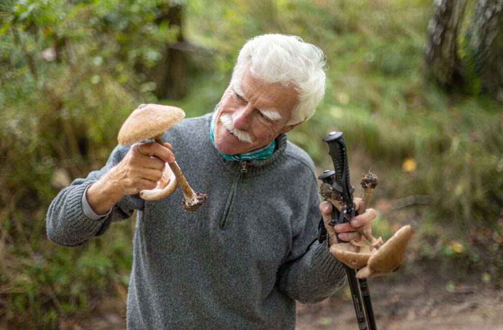 An older adult man holding mushrooms in both hands and a cane on his left hand