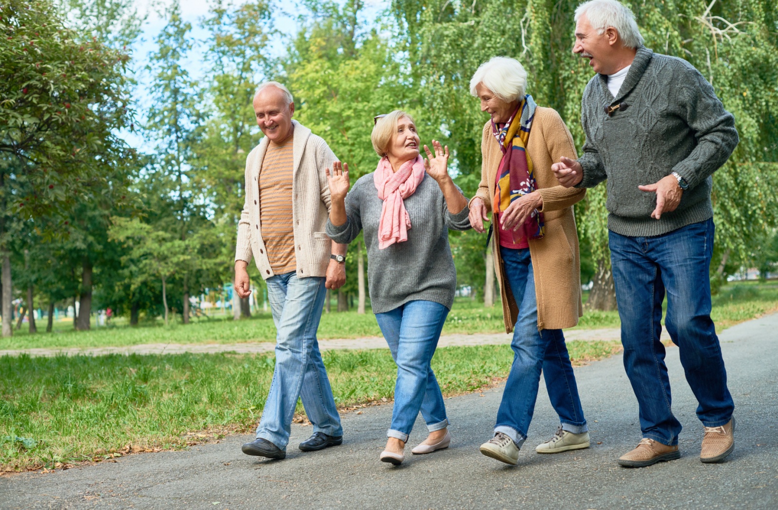Groupe de seniors marchant ensemble dans un parc